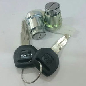 Door locks