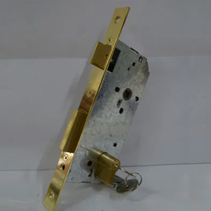 Dead bolt with latch